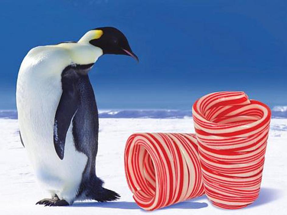 Po uporabi pojej? Brez skrbi, saj je kozarec iz sladkorja.