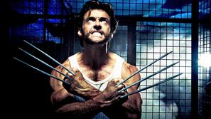 wolverine