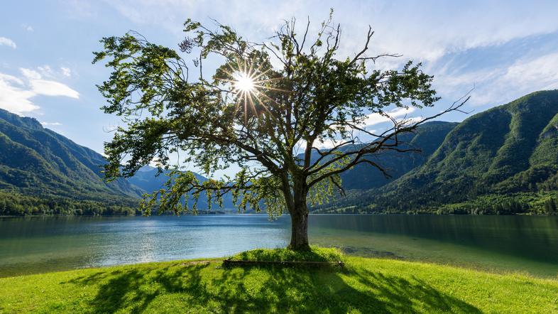 Bohinj