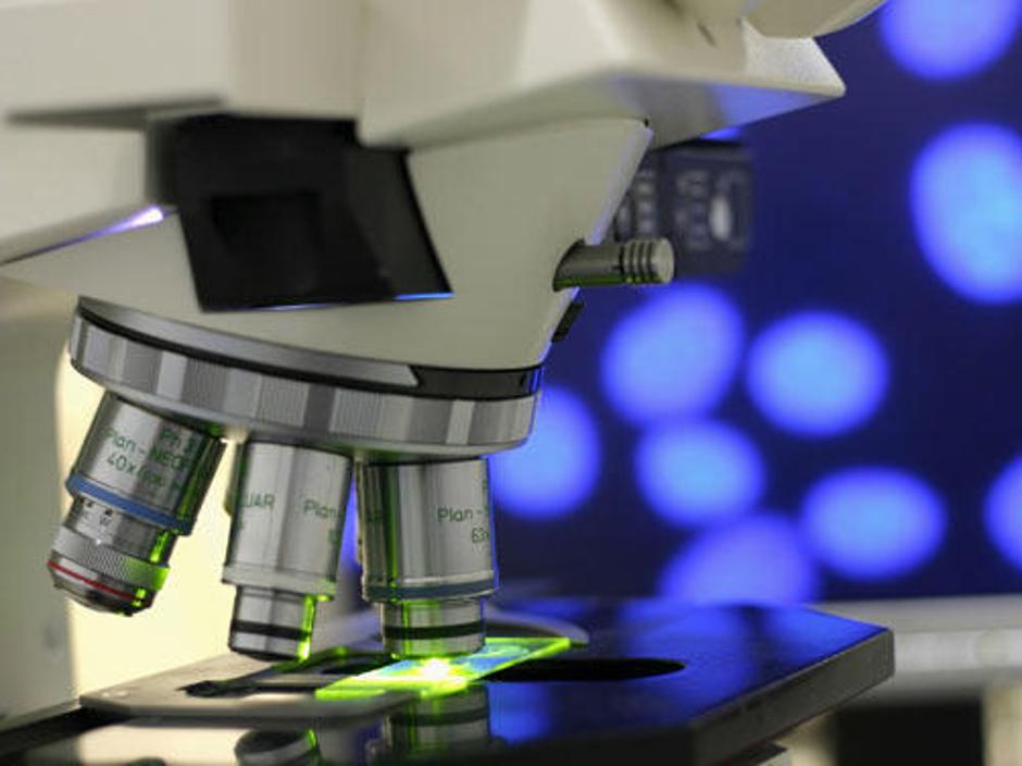 Vseh osem izbranih centrov prihaja s področja naravoslovja. | Avtor: Žurnal24 main