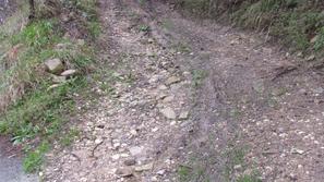 slovenija 03.02.14.  Pacug, hisa Jonasa Znidarsica, Jonas Znidarsic, pot, za kat