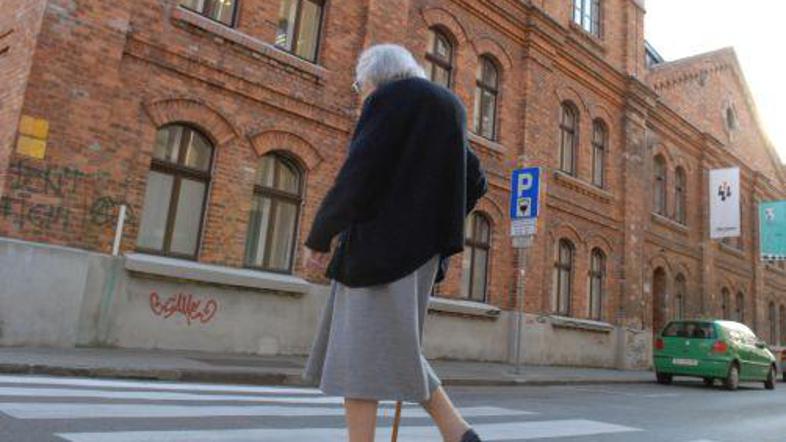 Skupna vrednost perutnine, ki jo je želela ukrasti ženska, je 8,84 evra. (Foto: 