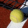tenis žogica mreža črta