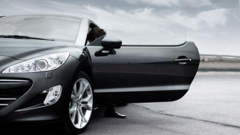 Prodaja naj bi se pričela v začetku leta 2010.