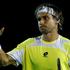 David Ferrer