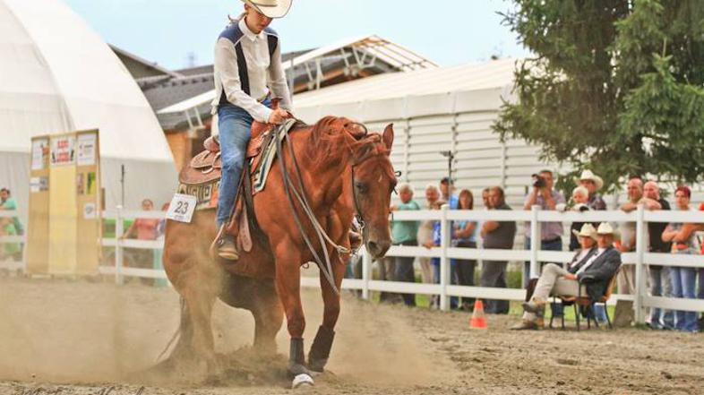 Wild West Fest