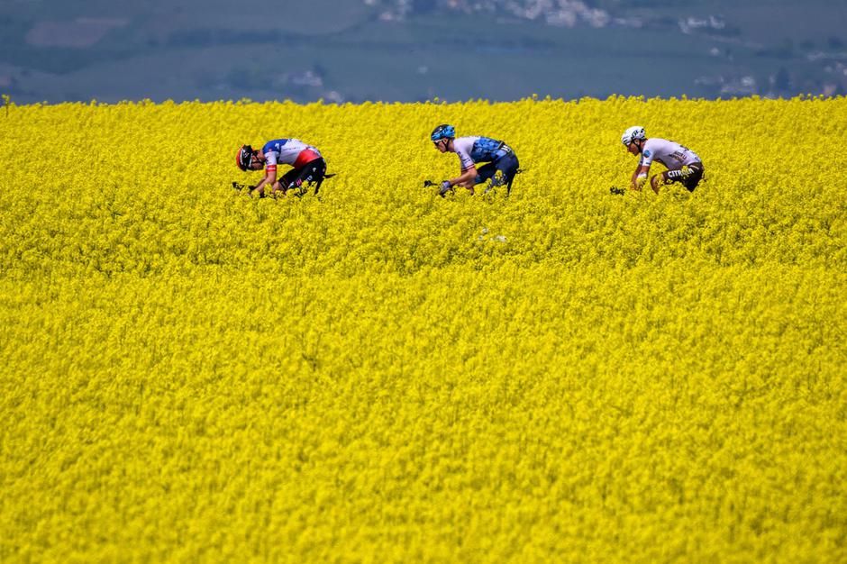 Dirka po Romandiji | Avtor: Profimedia