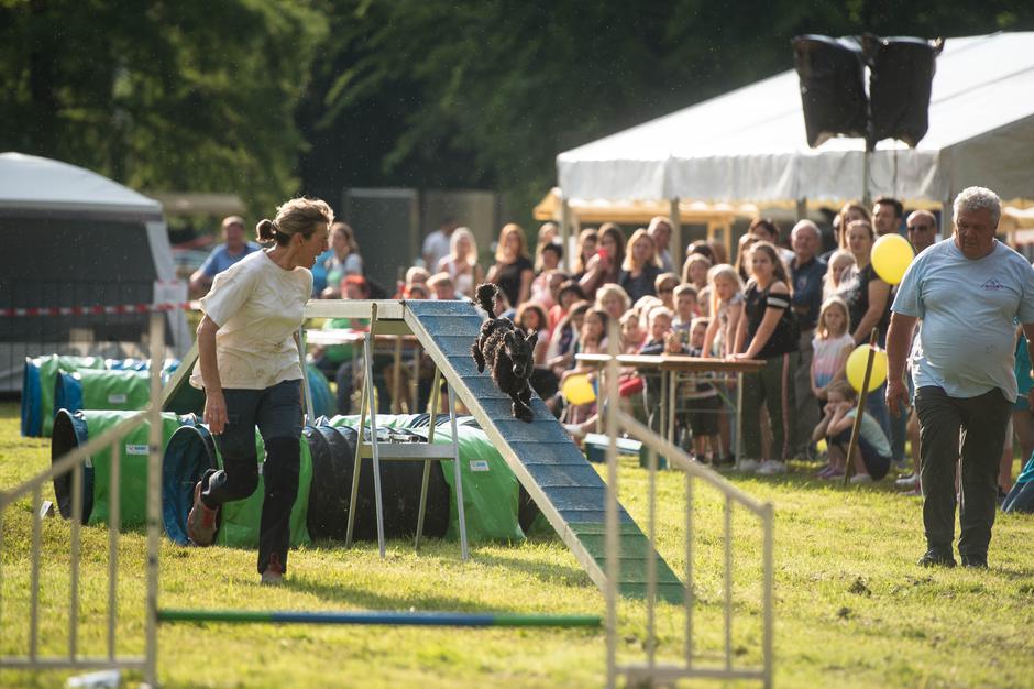 Dežela prijateljev | Avtor: Anže Petkovšek