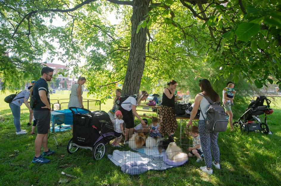 Festival za ljubitelje žiivali