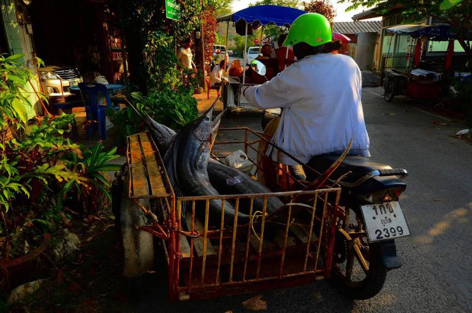 Tajska | Avtor: K. Š.