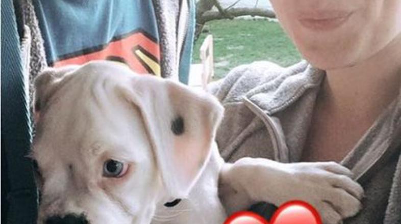 Uroš Bitenc, Antea Mramor