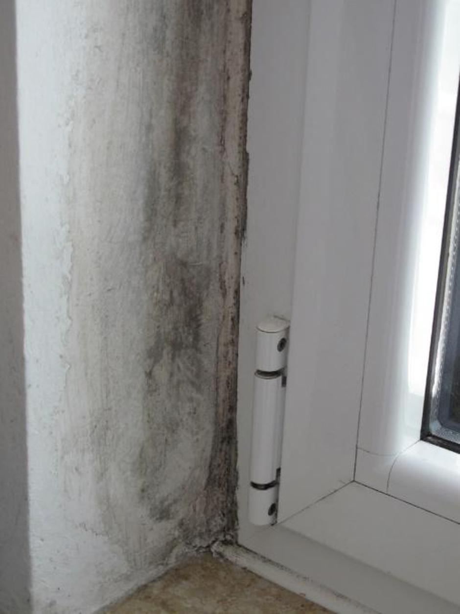 toplotni most | Avtor: Bojan Žnidaršič / Nep.vitra