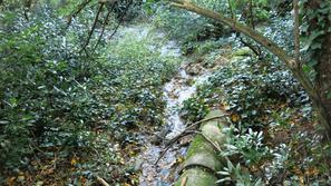 slovenija 23.01.14. fekalije, Zgornje Skofije, greznica, foto: Edmund Gaspar
