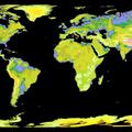 Nasa je predstavila doslej najpopolnejši svetovni zemljevid.