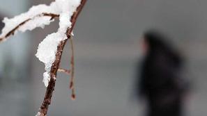 "V noči na četrtek lahko ponekod zapade tudi do četrt metra snega," poudari Greg