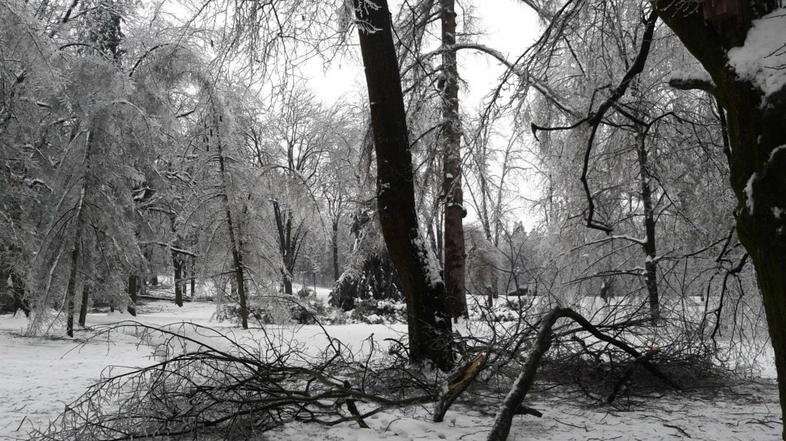 Posledice žleda v Tivoliju