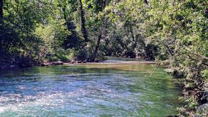 Vipava Velike Žablje