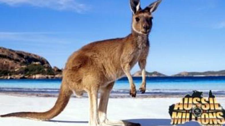 (Foto: Pokernews.si)