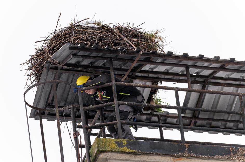 Štorklje, Trata pri Škofji Loki, Frankovo naselje, gnezdo, Škofja Loka