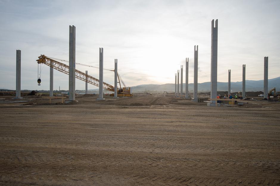 Magna Steyer | Avtor: Anže Petkovšek