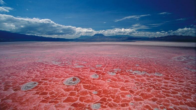 Lake Natron, Tanzanija