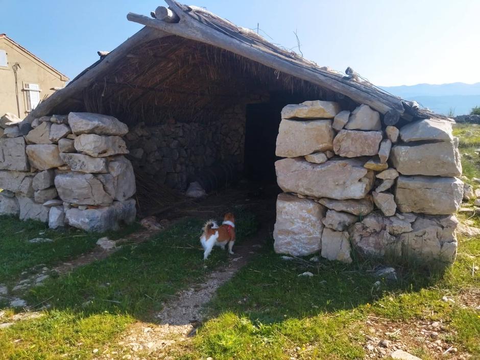 Krk | Avtor: S. H. H.