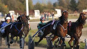 Na nedeljskih kasaških dirkah na hipodromu Stožice sta trčila dva izmed tekmoval