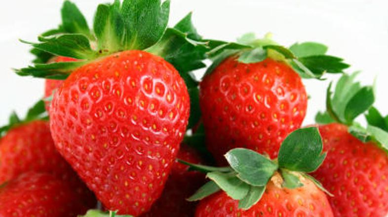 Jagode