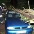 neurje_nemcija_afp01032008t