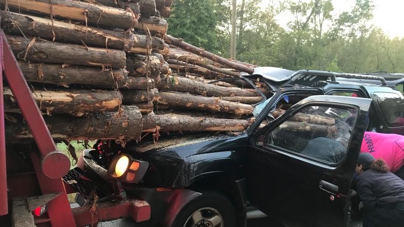 Nesreča s hlodovino