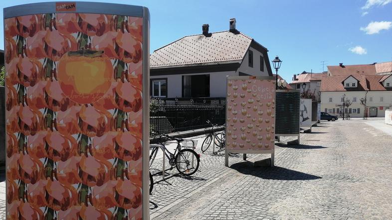 Pred kranjsko knjižnico