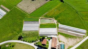 Biodinamična kmetija Černelič