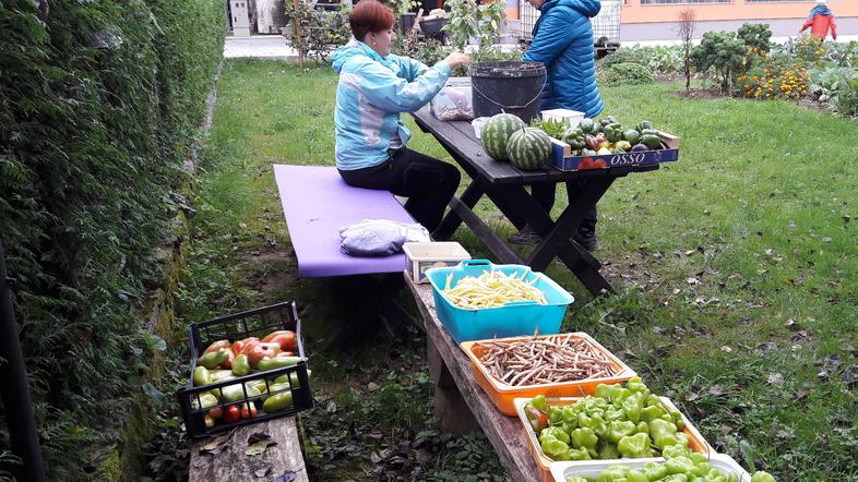 Društvo Sorško polje v Prašah pri Mavčičah