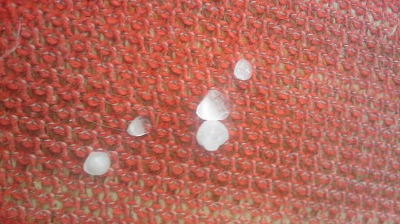 (Foto: Naša bralka)