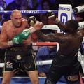 Tyson Fury : Deontay Wilder