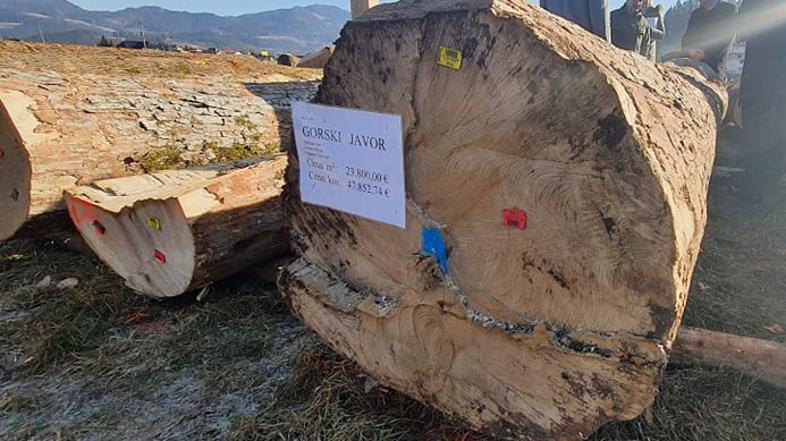 licitacija lesa hlod hlodovina