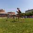 Festival za ljubitelje živali 2026