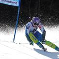 Maze Schladming finale svetovni pokal alpsko smučanje veleslalom