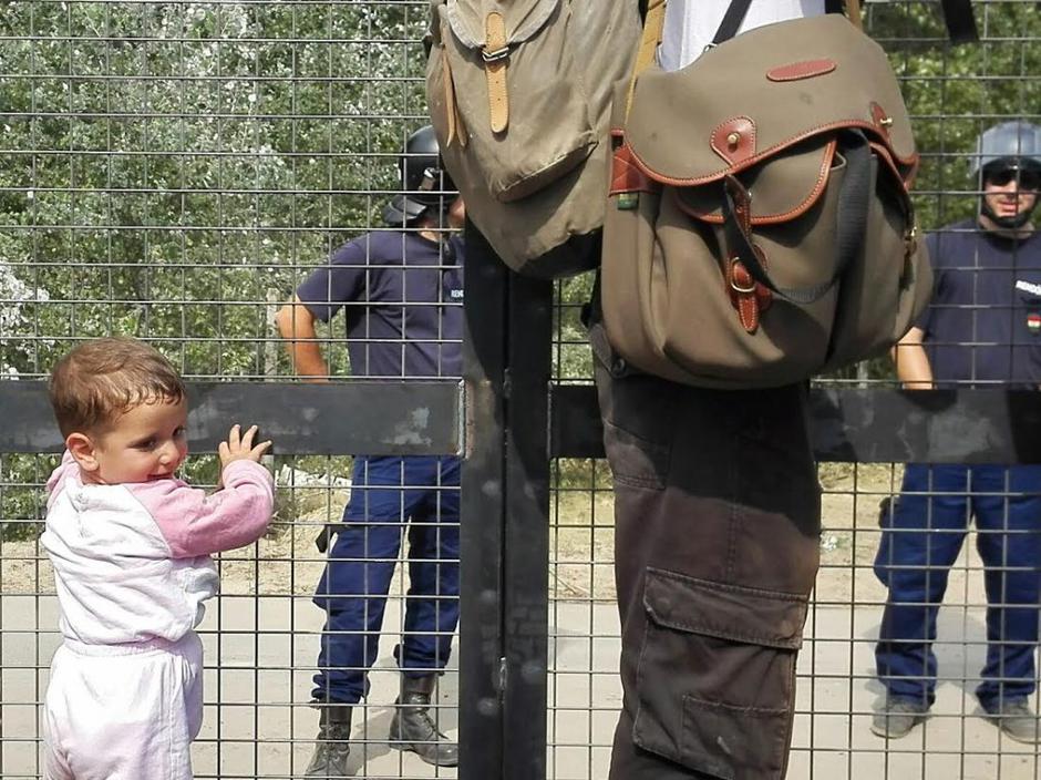 Begunci na srbsko-madžarski meji | Avtor: Anže Petkovšek