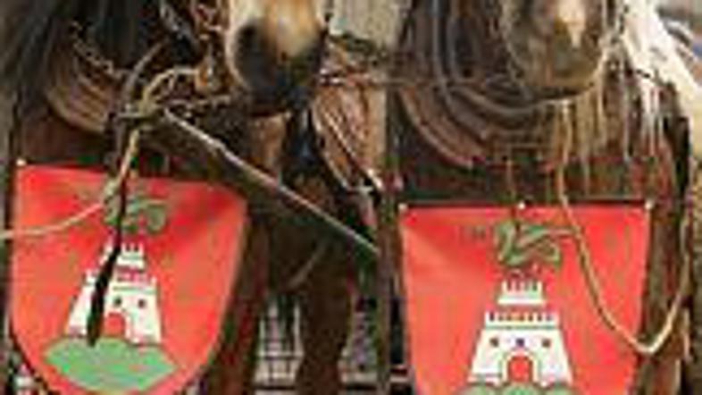 Svetniki MOL so pripravili rekordna proračuna.