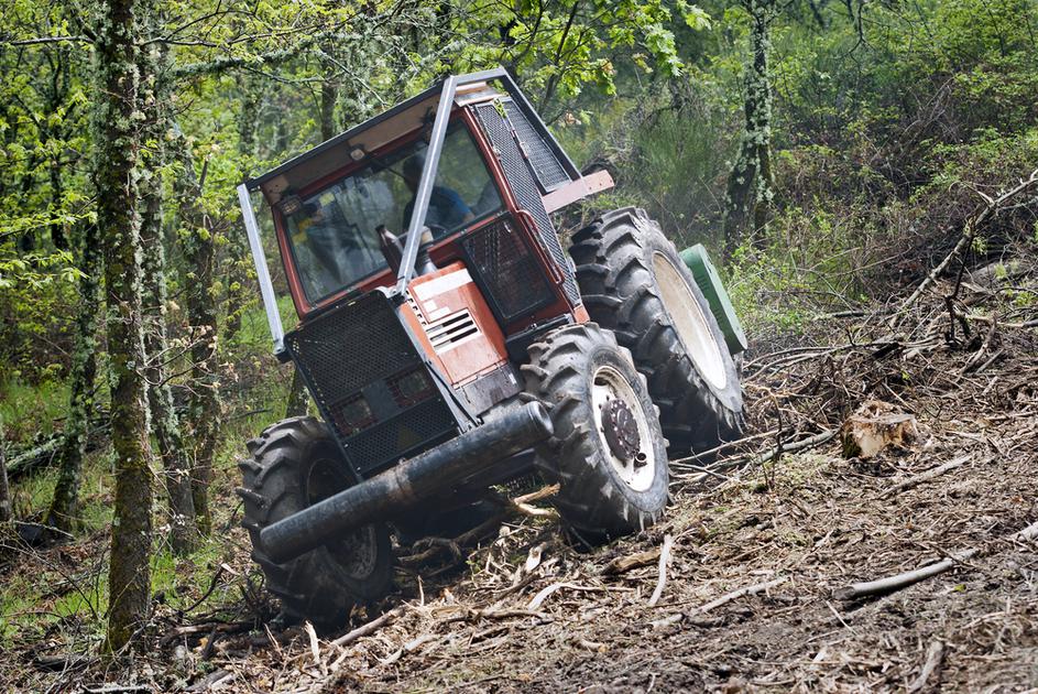 Traktor v gozdu