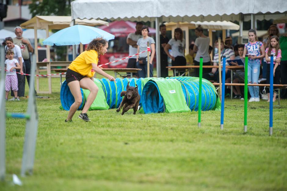 Dežela prijateljev | Avtor: Anže Petkovšek