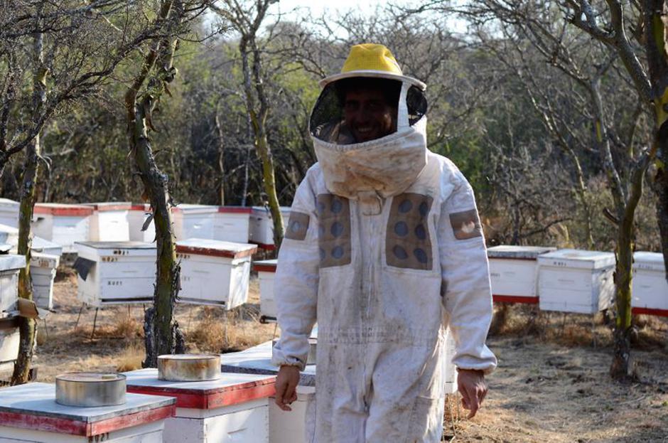 blog Cesta dolga leto dni | Avtor: Brina Sotlar