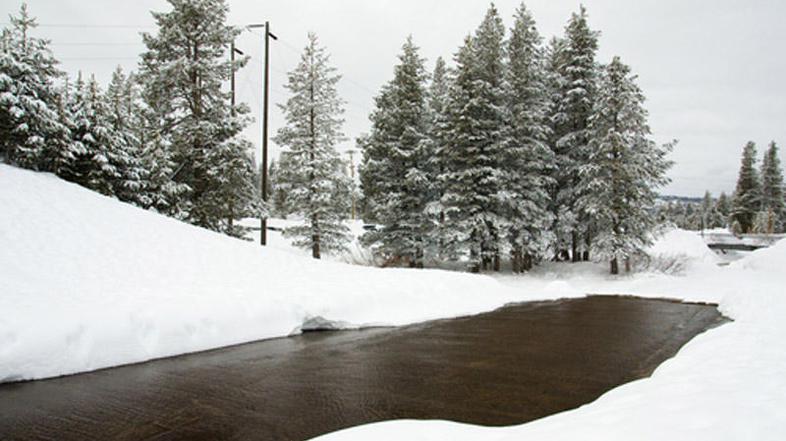 (Foto: Shutterstock)