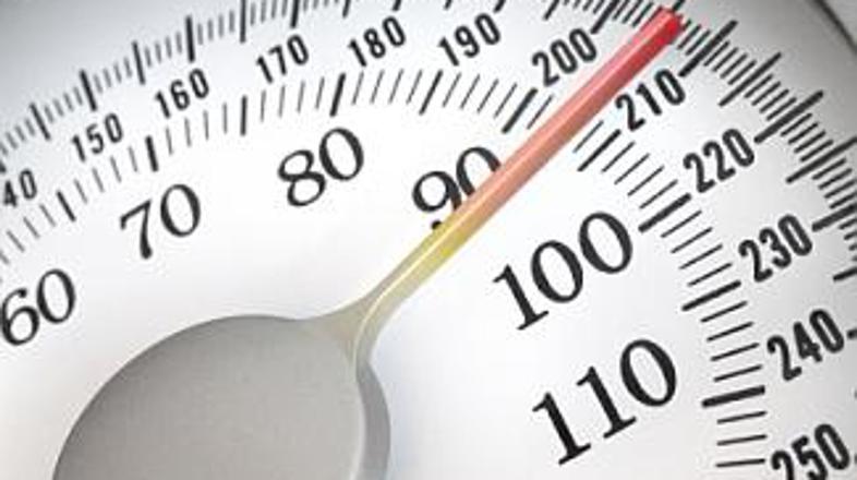 Kilogrami, funti ... ni važno! Britanci so se v sredo spet redili!