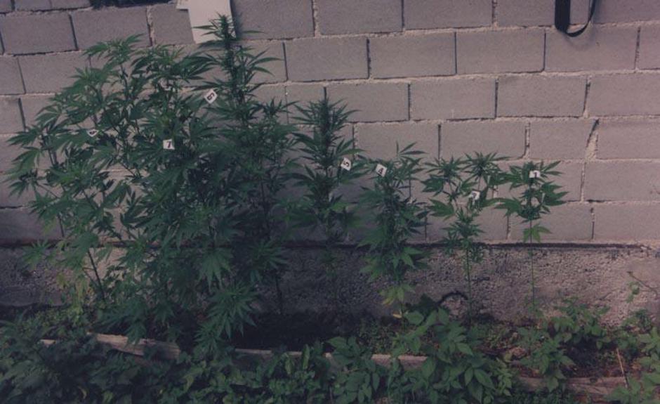  | Avtor: Žurnal24 main