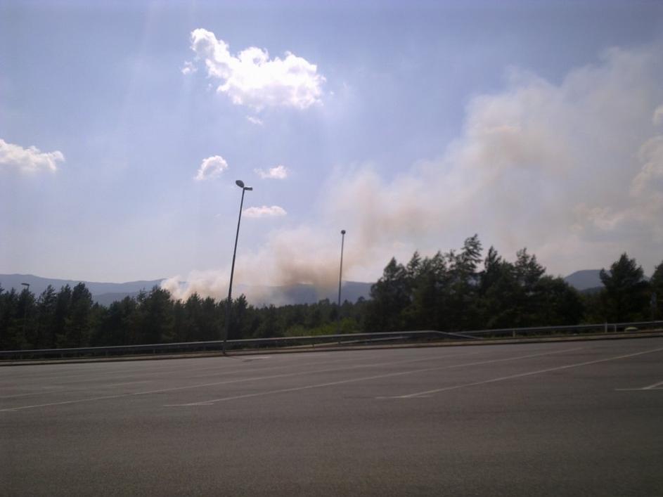 Gori pri mejnem prehodu Jelšane.