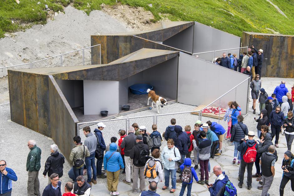 Bernardinci in pesjak