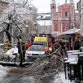 Podrto drevo v Stari Ljubljani 