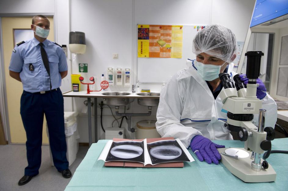 Igla v sendviču, ki je bilo streženo na letalu.